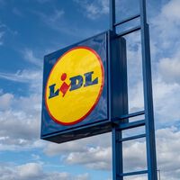 El lunes, 8 de junio, llega a Lidl el estante que ordena tu ducha, se instala sin obras y cuesta menos de 4 euros