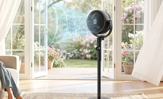 Ventilador De Pie Songmics Amazon