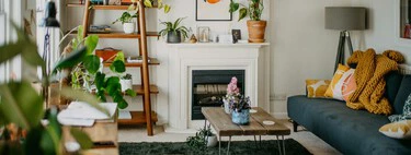 Hoy llega a Lidl la planta tropical de bajo mantenimiento, pero que aportará mucho color y vida al salón de casa 