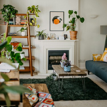 Ya en Lidl la planta tropical de bajo mantenimiento, pero que aportará mucho color y vida al salón de casa