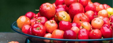 La fruta conocida como “oro natural” que puedes cultivar en casa sin experiencia: crece rápido y llena el jardín de color 