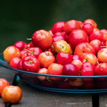 La fruta conocida como “oro natural” que puedes cultivar en casa sin experiencia: crece rápido y llena el jardín de color 