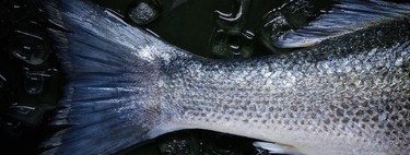 Elevan de 3 a 10 años la edad de los niños para empezar a consumir  estos cuatro pescados, por su contenido en mercurio