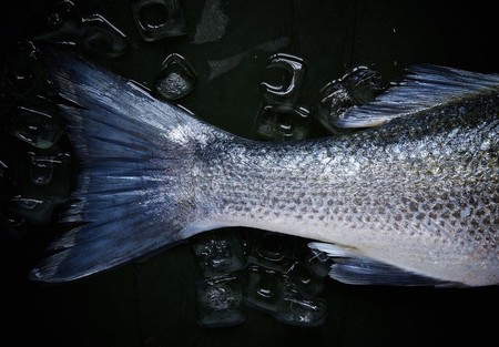 Elevan de 3 a 10 años la edad de los niños para empezar a consumir estos cuatro pescados, por su contenido en mercurio