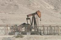 El petróleo caro reabre el debate energético