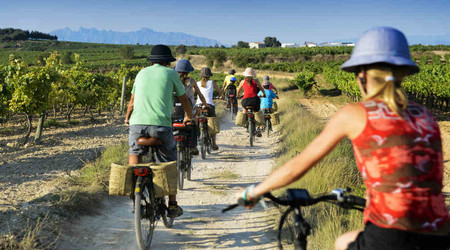 Enoturismo provincia Barcelona
