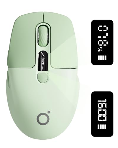 SEUNKWANG EWEADN Q1 mouse inalámbrico
