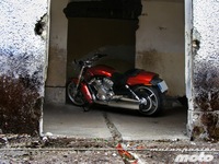 De pruebas con la Harley-Davidson V-Rod Muscle al hasta luego de Alberticu: la semana a rebufo