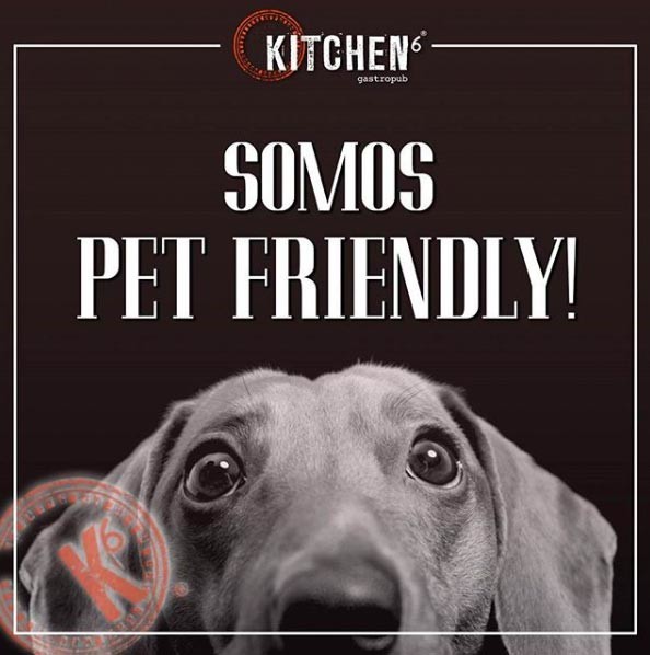 7 restaurantes pet friendly ubicados en la Ciudad de México