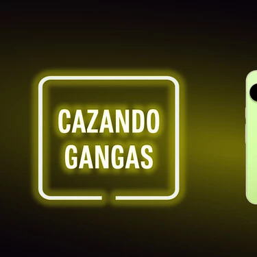 Cazando Gangas