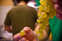 Mini-uvas para la Nochevieja de los niños