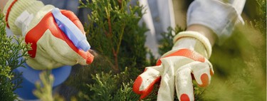 Monty Don, experto en jardinería: “El cuidado que hagas ahora ayudará a tu jardín a resistir mejor el próximo verano” 