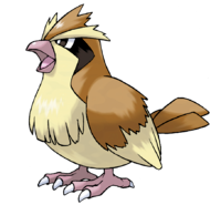 Pidgey