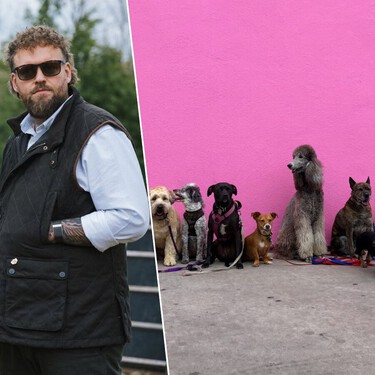 Will Aterthon, entrenador profesional de perros: "si solo pudiera quedarme con tres razas, estas son las que elegiría"