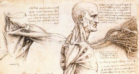 Todo sobre el hombro (I): Anatomía