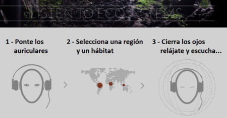 Listen To Ecosistems
