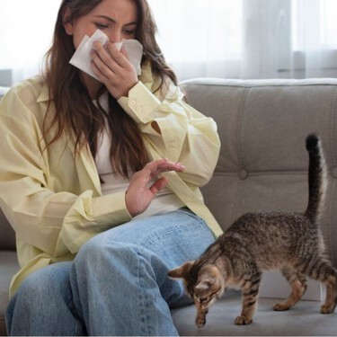 Cómo eliminar el olor a gato de tu ropa, casa y arenero: 3 olores que los gatos no soportan  
