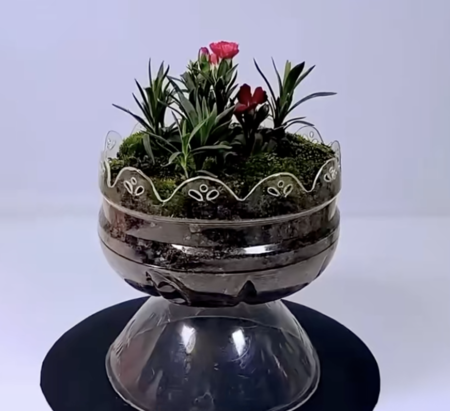 Captura De Pantalla 2025 07 24 A Las 16 28 12