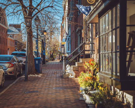 Alexandria