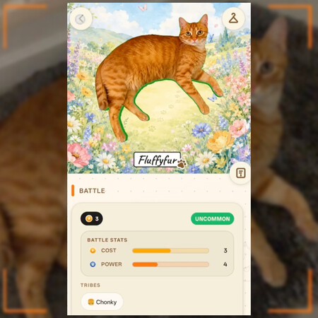 Parece Una Copia De Pokemon Go Pero Nadie Esperaba Esto Un Juego Gratis Que Te Pone A Capturar A Los Gatos De Tu Colonia