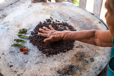 Chicatanas Hands 2000x