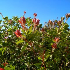 Foto 6 de 22 de la galería xiaomi-mi-max-camara-1 en Xataka Android