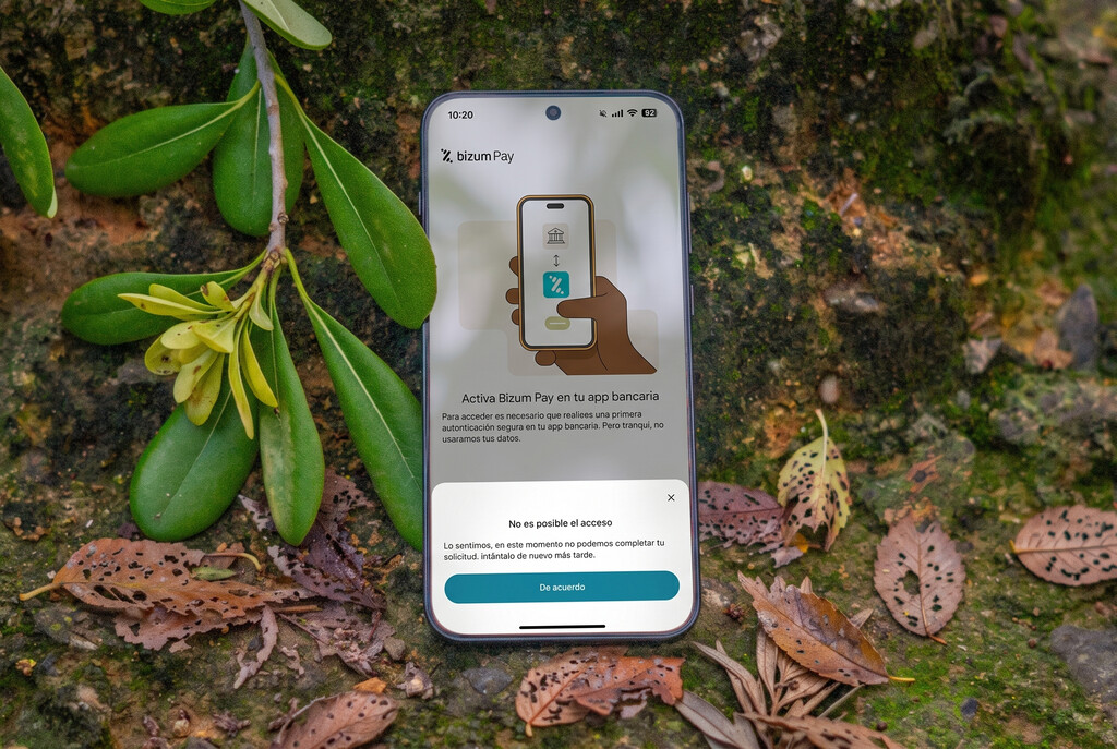 La paradoja de Bizum Pay, tres meses después