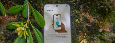 La paradoja de Bizum Pay, tres meses después 