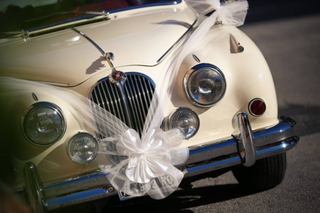 Para Que Quieres Un Coche