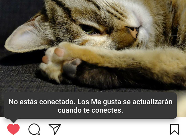 Instagramm