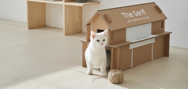 Eco Packaging