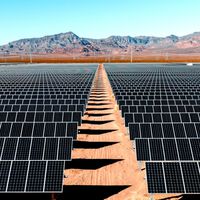 A China cobriu um deserto com painéis solares — e o efeito no ecossistema da região é surpreendente 