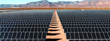 A China cobriu um deserto com painéis solares — e o efeito no ecossistema da região é surpreendente 