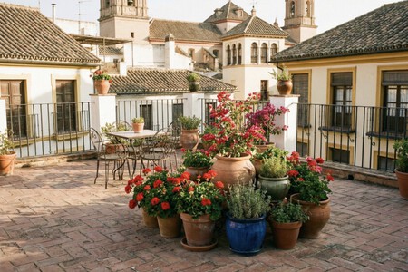Terraza