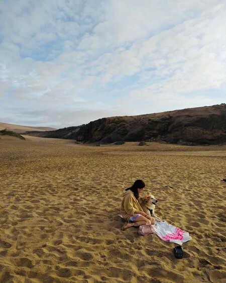 Perros Hijos Sustitutos