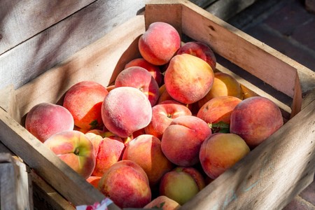 Empieza la temporada de melocotones, os proponemos cinco jugosas recetas para disfrutarlos (y cuidaros)