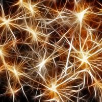 La manera correcta de rechazar una oferta de trabajo 