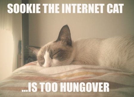 Internet is a series of blogs (CXIV)