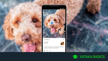 Nuevo Google Lens As Puedes Identificar Objetos Y Textos Directamente 