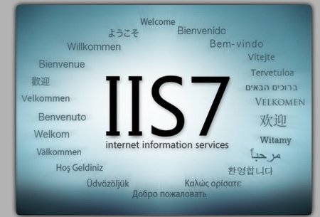 Configurando un IIS para .NET