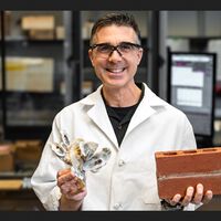 Han inventado un tipo de cemento inspirado en las ostras. Promete ser hasta 10 veces más resistente y de secado más rápido 