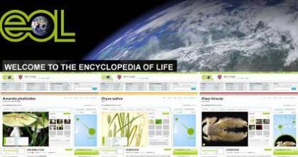 La Enciclopedia de la Vida, una obra de gran interés