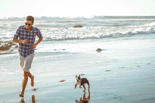 Las 11 mejores playas para ir con perros en España y disfrutar del verano con tu mascota 