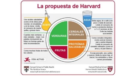 Un nuevo "plato" para enseñarnos a lograr una alimentación saludable