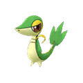 Snivy