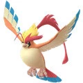 Pidgeot Mega