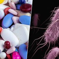 Teníamos un gravísimo problema con nuestra resistencia a los antibióticos. Ahora estamos más cerca de resolverlo