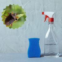 Bicarbonato y vinagre para las chinches: para qué sirve este truco casero y qué tan efectivo es 
