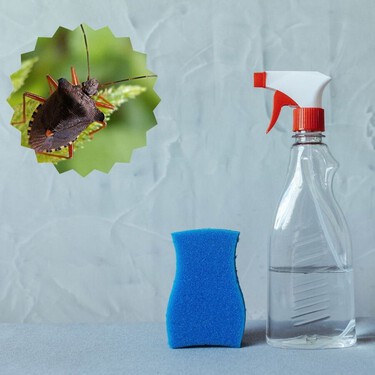 Bicarbonato y vinagre para las chinches: para qué sirve este truco casero y qué tan efectivo es 