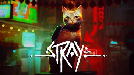 Stray